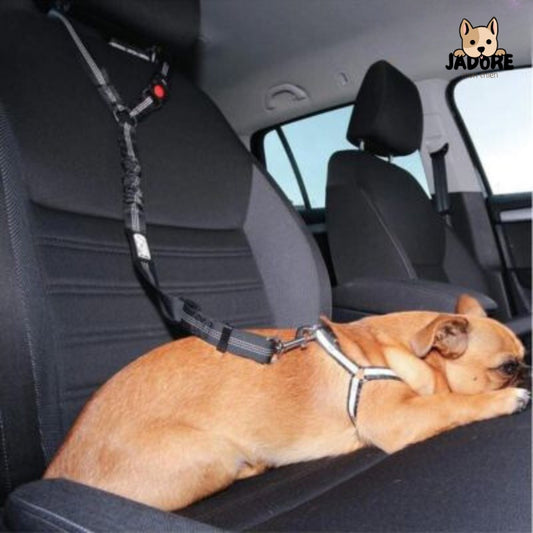 ceinture de sécurité de voiture pour animaux de compagnie avec tampon, ULde sécurité élastique ZE, produits pour chiens