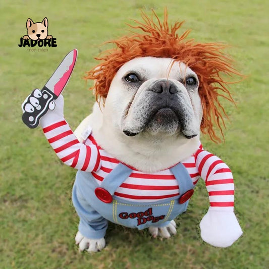 Le costume pour chien Chucky : "Un look effrayant et amusant pour votre toutou !"